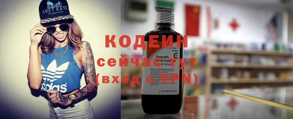 молекула духа Медвежьегорск