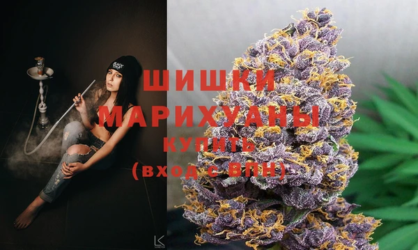 молекула духа Медвежьегорск