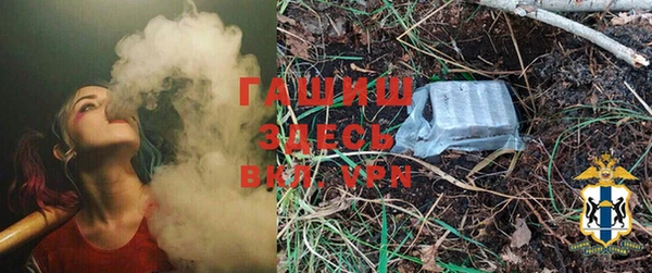 молекула духа Медвежьегорск