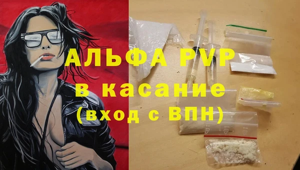 молекула духа Медвежьегорск