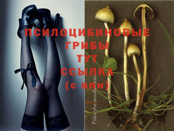 трава Мегион