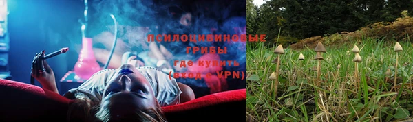 молекула духа Медвежьегорск