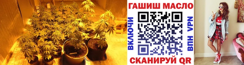 Дистиллят ТГК гашишное масло  купить наркотик  Троицк 